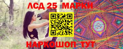 Альфа ПВП Новодвинск