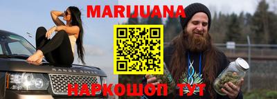Альфа ПВП Новодвинск