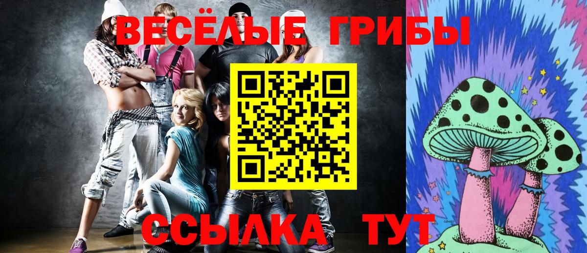 Псилоцибиновые грибы ЛСД  Вход с VPN  Знаменск 