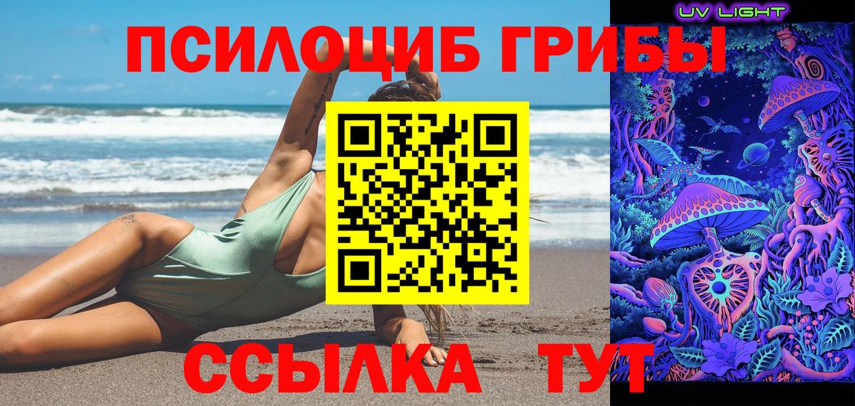 Псилоцибиновые грибы Psilocybine cubensis Знаменск