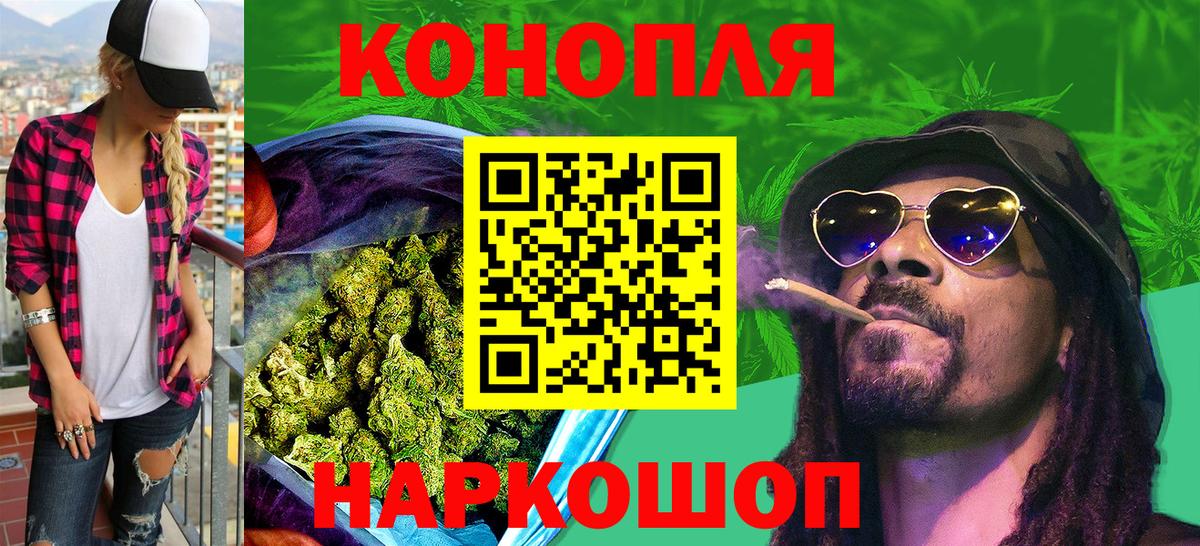 Бошки Шишки планчик Знаменск